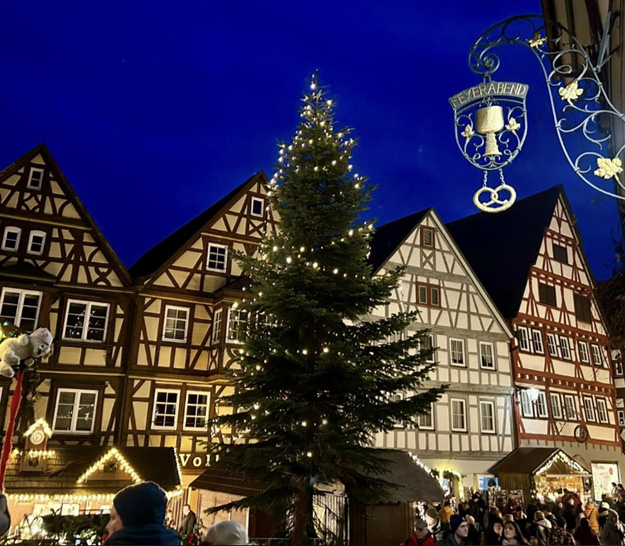 Bad Wimpfen am Abend