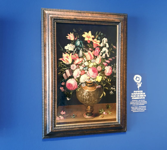 Blumengemälde aus der Ausstellung blooming