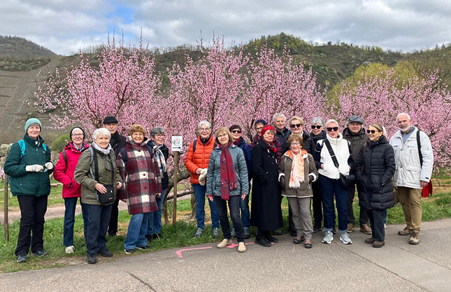 Gruppe vor den Pfirsichblüten