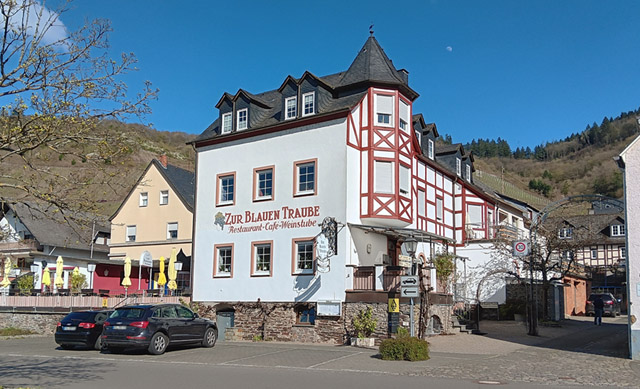 Neef, Blaue Traube