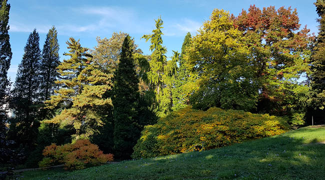 Arboretum, Im alten Park